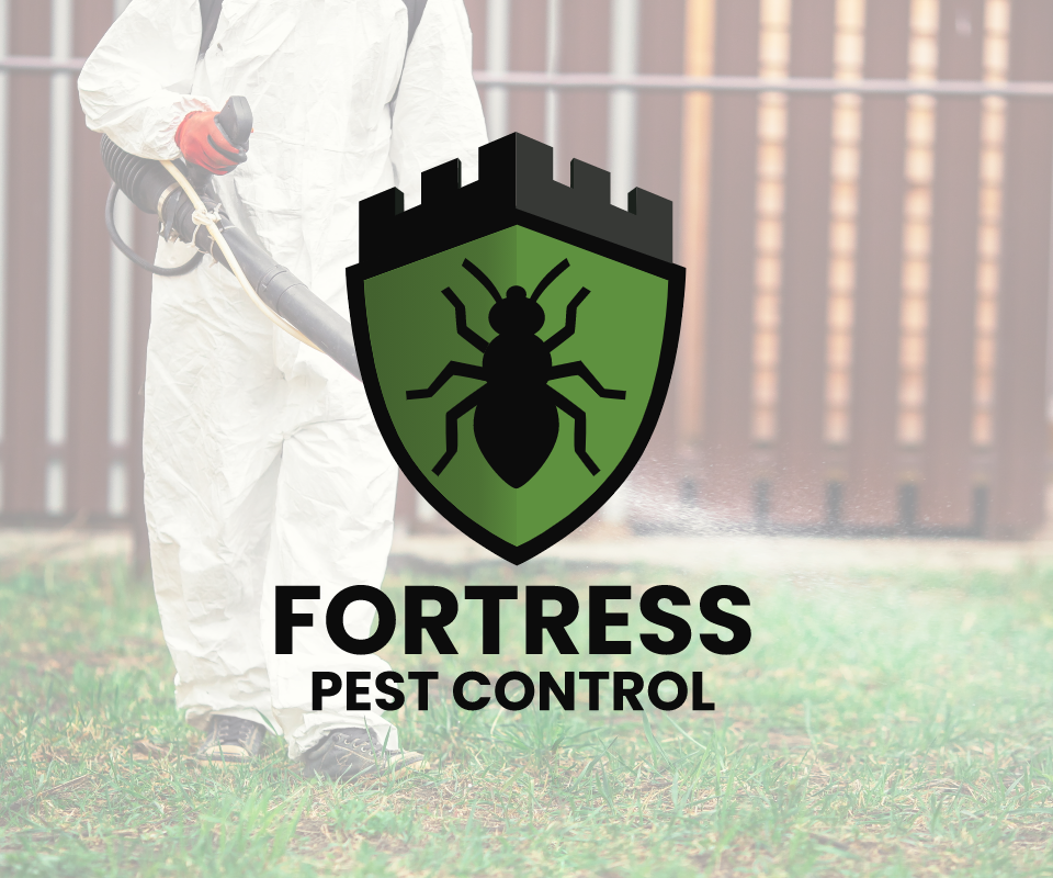 cocchi-electric-kitchen-lighting-installation1